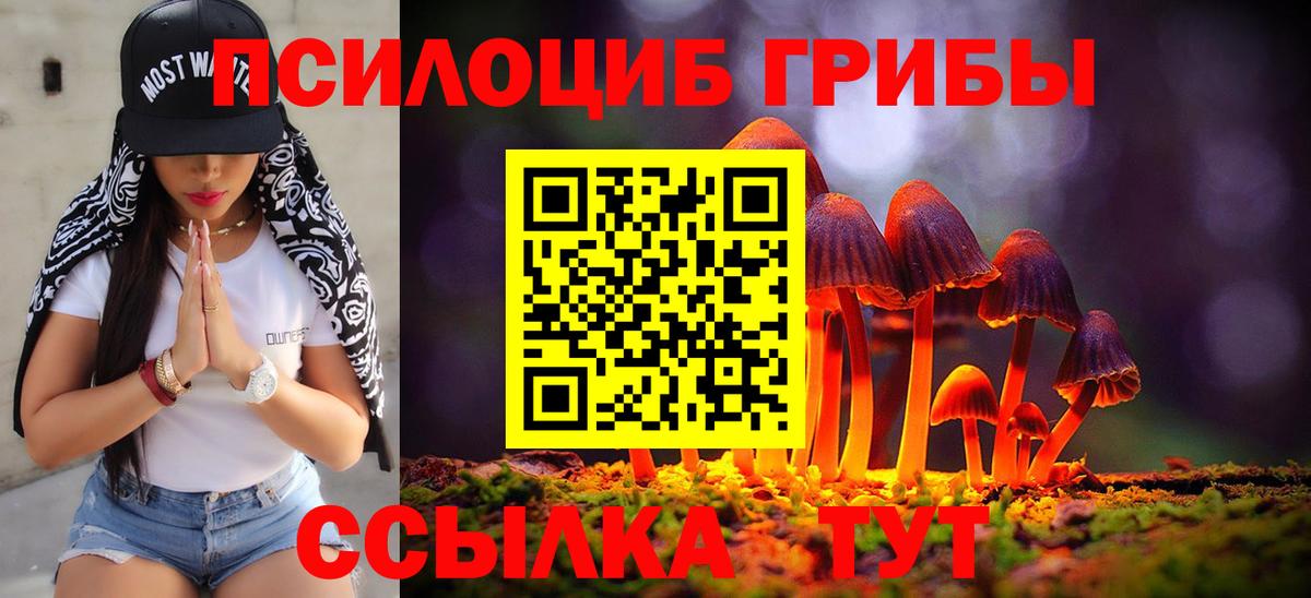 Галлюциногенные грибы MAGIC MUSHROOMS Абинск