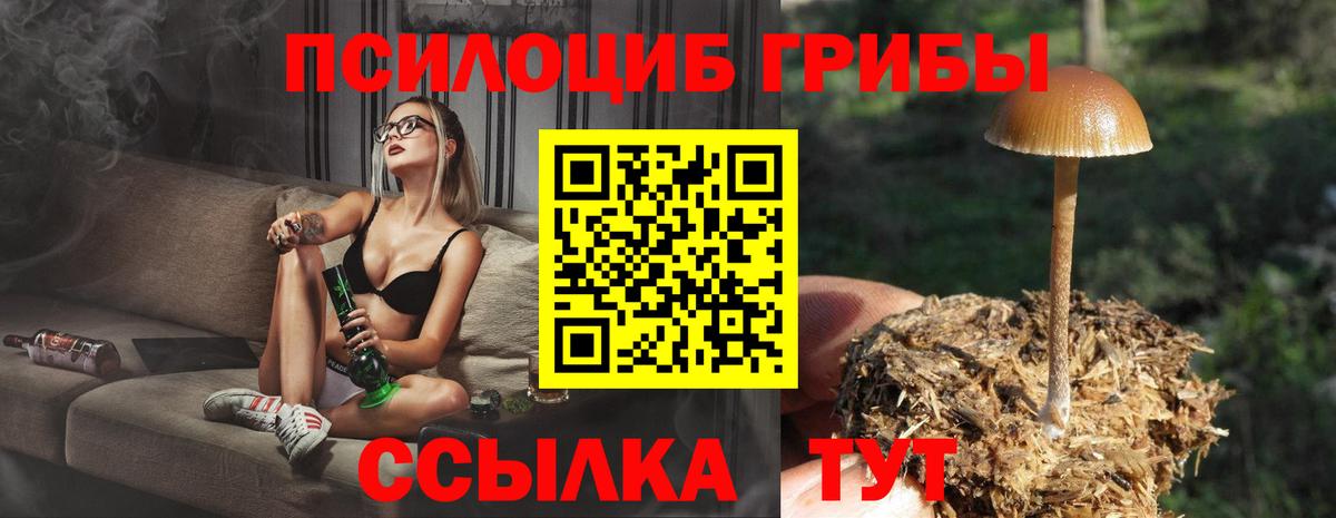 Псилоцибиновые грибы MAGIC MUSHROOMS  Вход с VPN  Абинск  Галлюциногенные грибы Magic Shrooms 